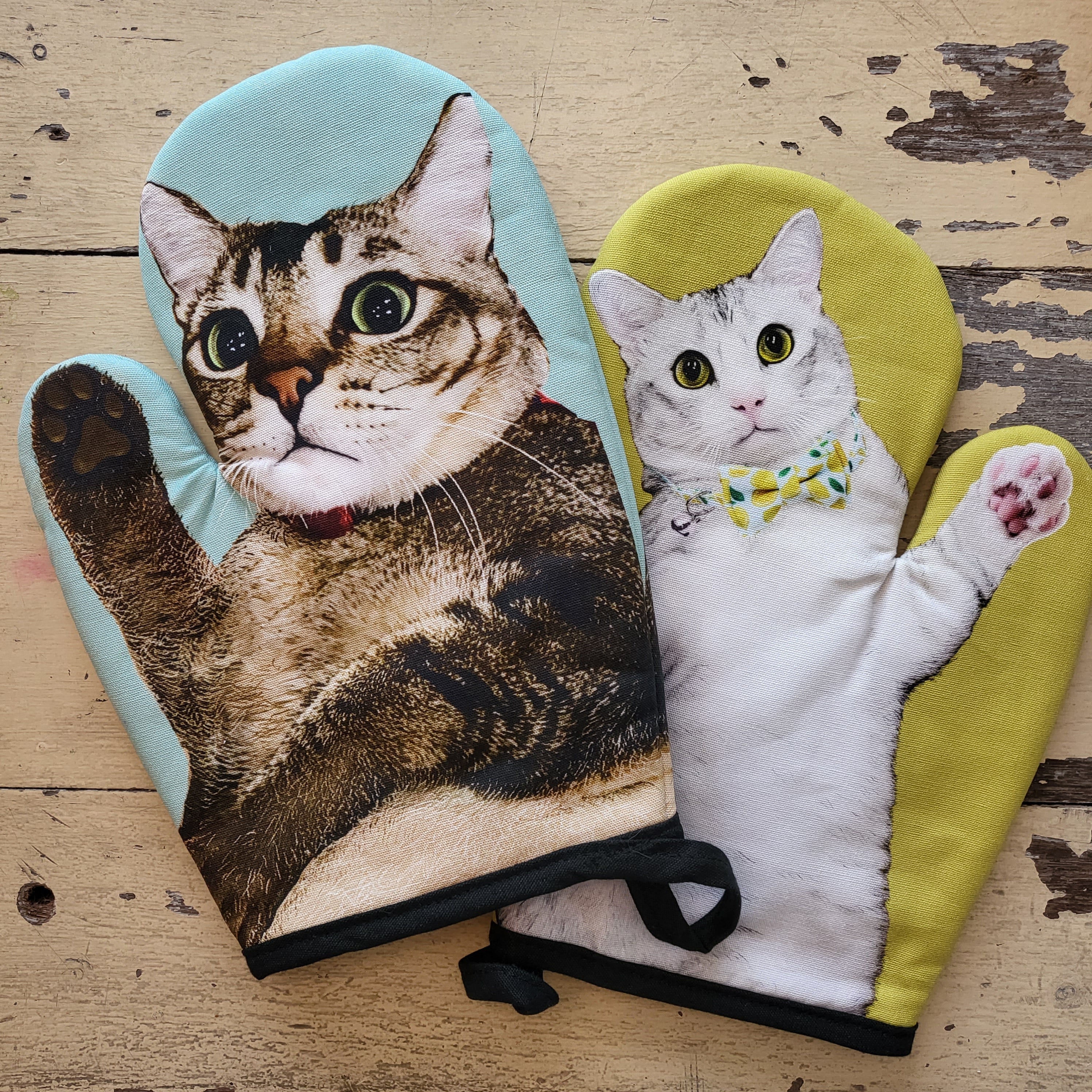Cat Socrates Oven Mitt